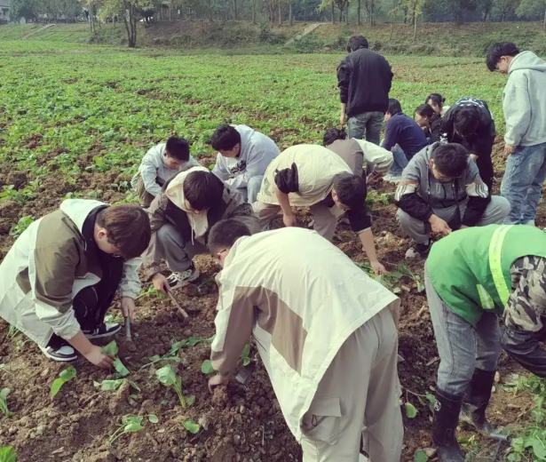 期间的劳作教育课提升了我的着手能力对我的实习工作帮助很大